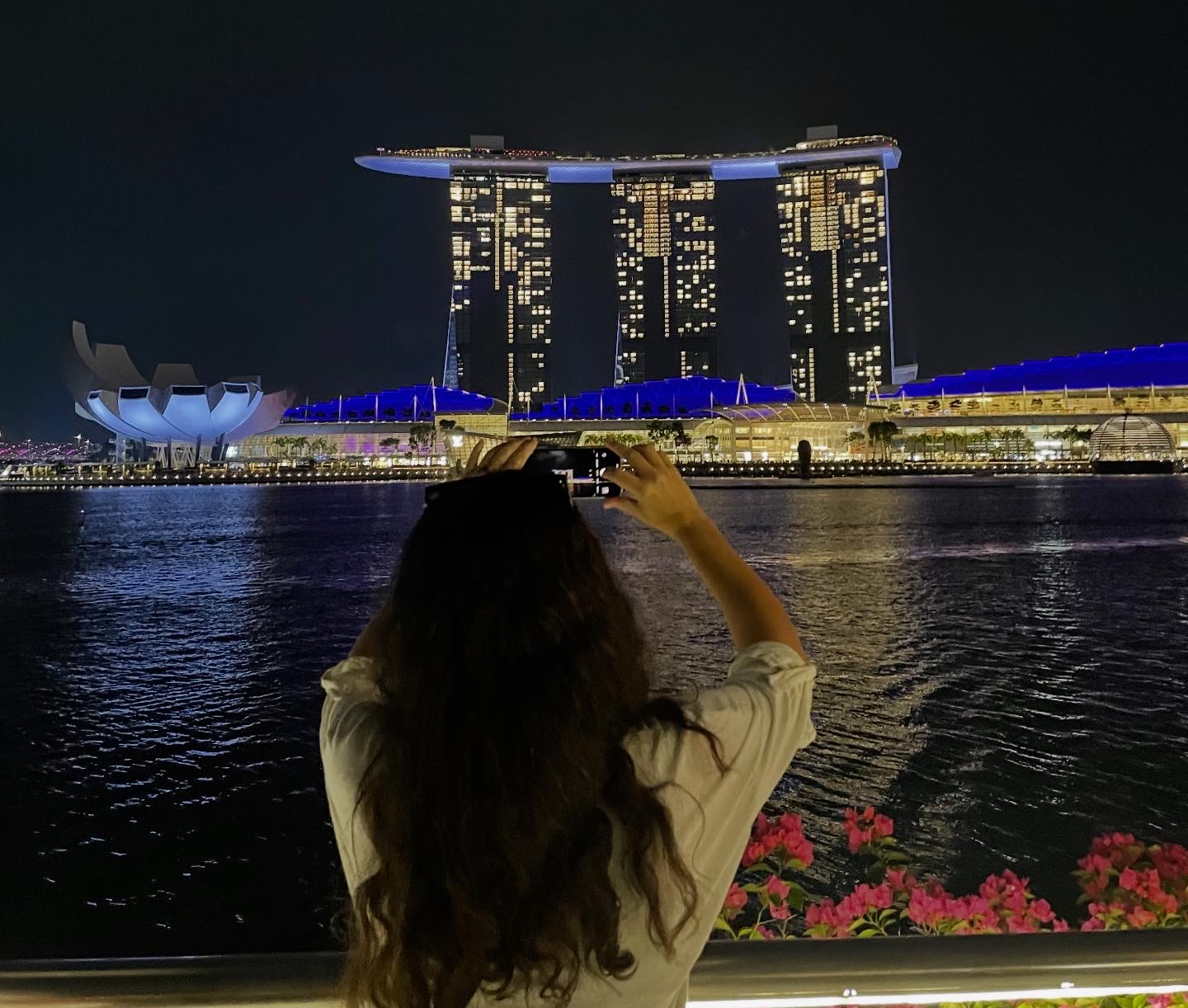 Svetleći grad u parku, na reci Singapur